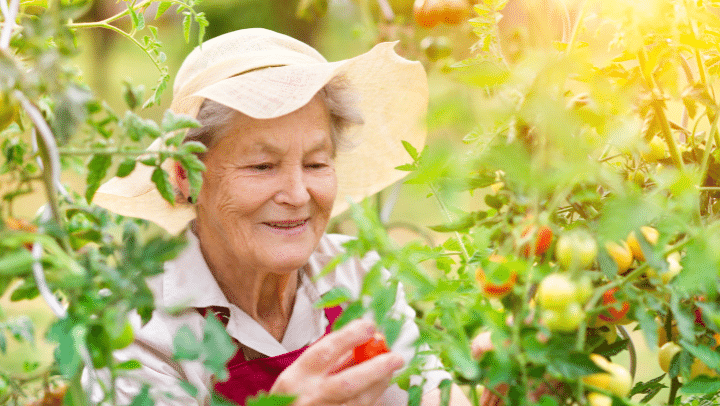The Power Of Routine In Memory Care 3 An Old Lady Gardening